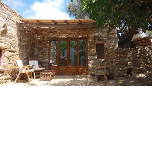 The Aged Olive Tree