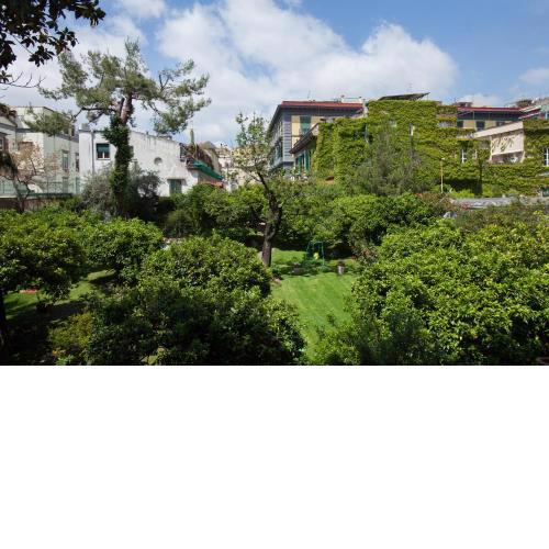 The Bellini House by House In Naples