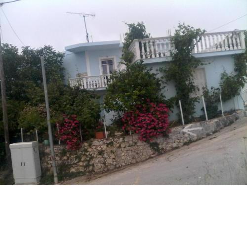 the blue house