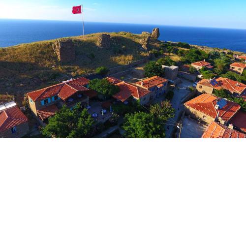 The Castle