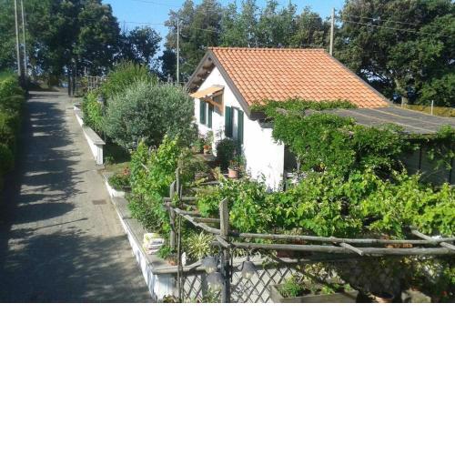 The Cottage