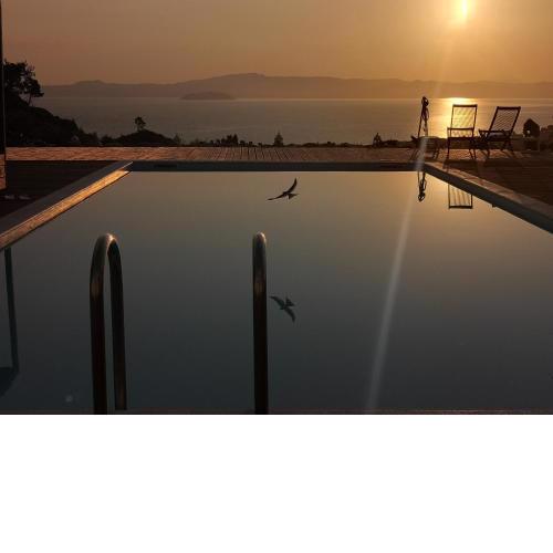 The Free Bird - Private Pool & Spa Villa