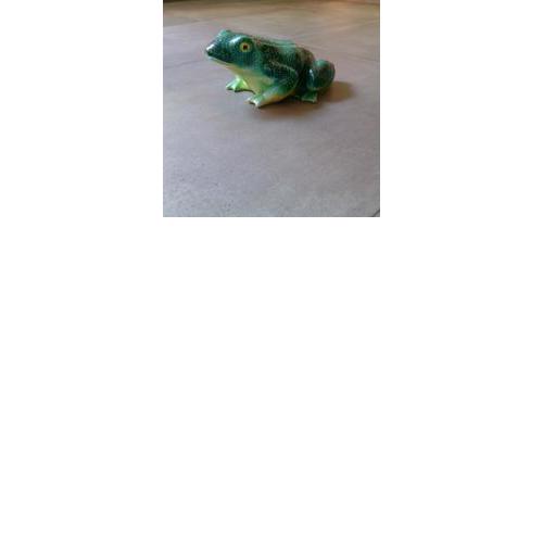 The Frog's Hideaway