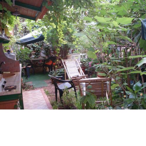 The Garden