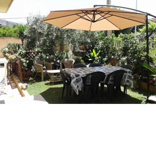 The Garden