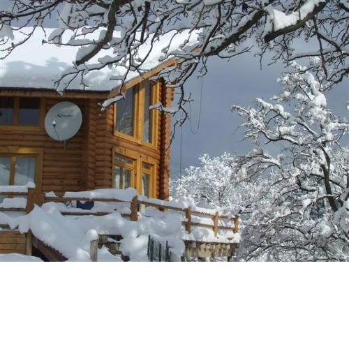 The Green Pine Chalet