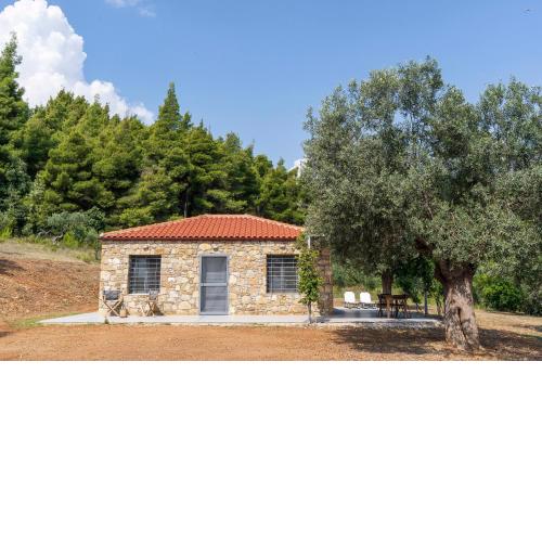 The Ideal Secluded Retreat