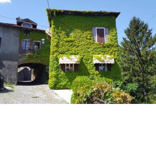 The Ivy House in the Castle