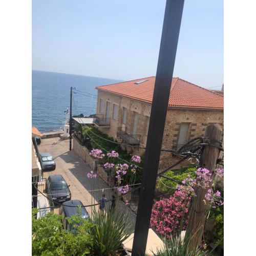 The Kardamyli Beachhouse