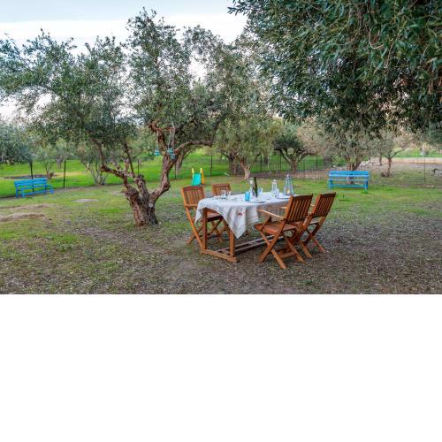 The Koan Amazing Garden Retreat