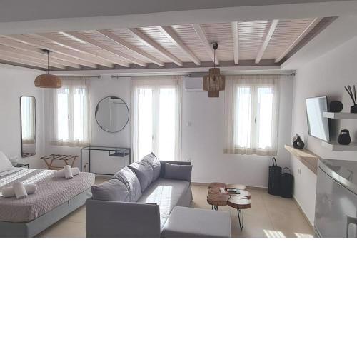 The Lavish Apartment