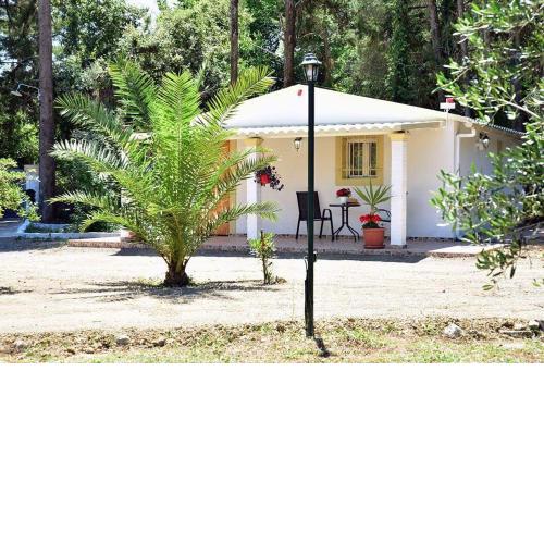 The Little House on Spingeli