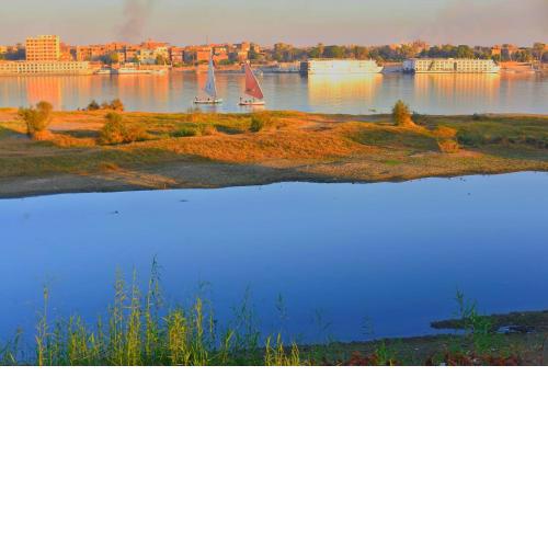 the luxurious apartment in luxor