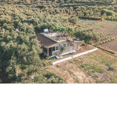 The Mills House