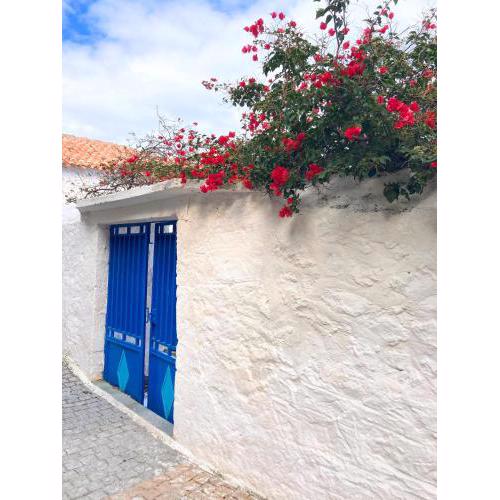 the NEW old traditional house