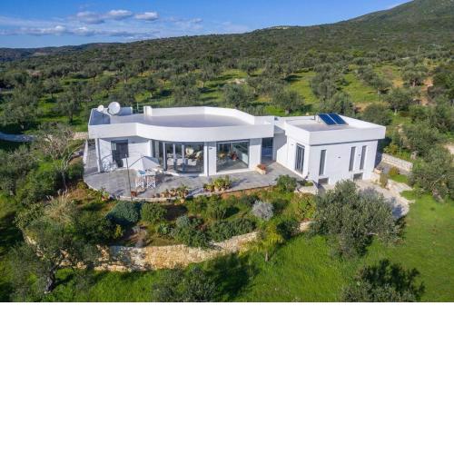 The Olive Grove 1
