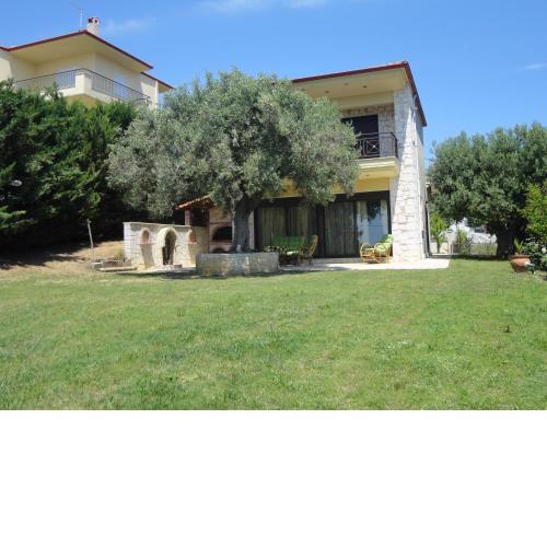 The Olive House