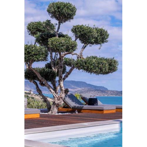 The Olive Tree Villa Elounda