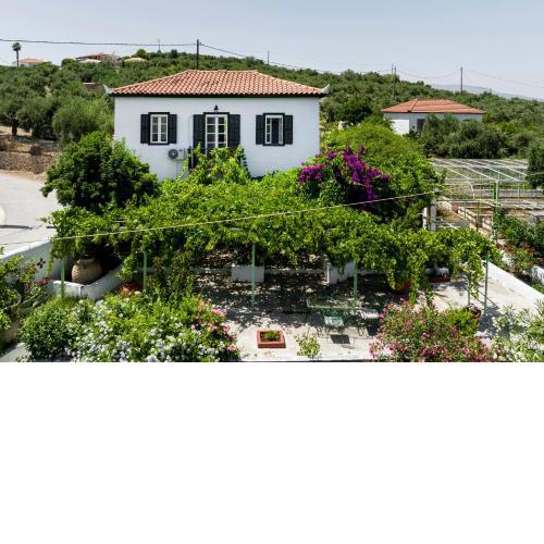 The Olive yard house in Koroni