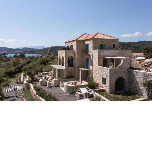 The Olive Yard