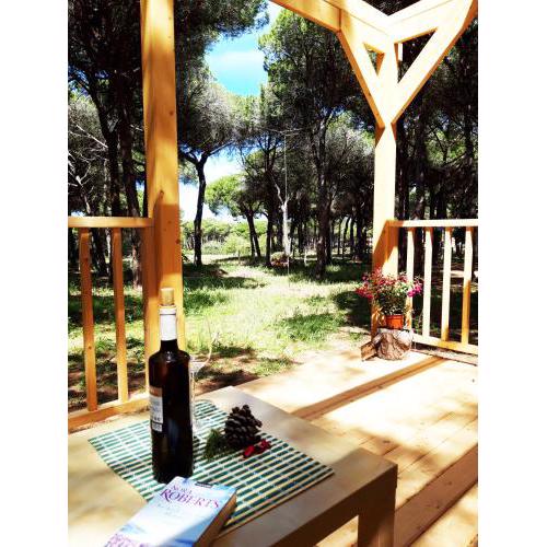 The PineForest Cabin