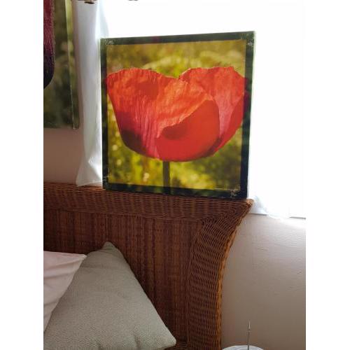 THE POPPIES Private Suite with Charm 100m Ocean - Free Welcoming Cava - Ideal Location to discover Tenerife!