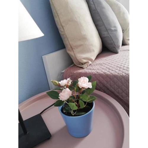 The Rose Apartment