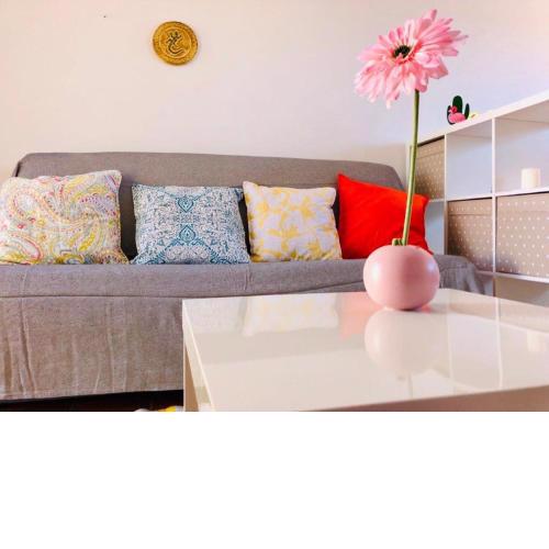 The Summer Treat Shared Apartment