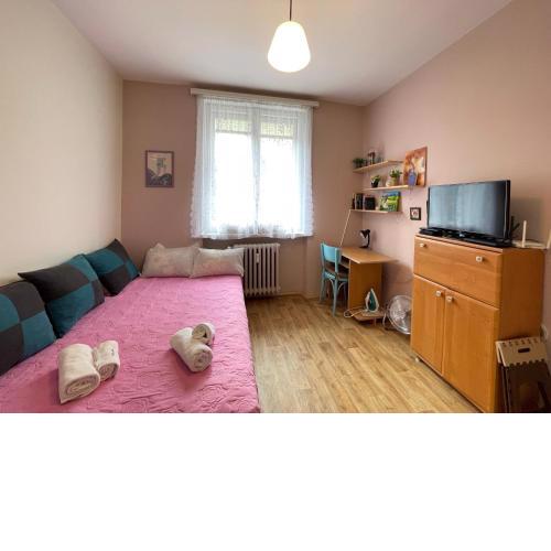 The Top Spot - Cute Studio in the Center