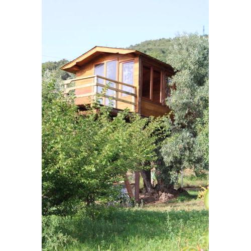 The Treehouse - Casa sull'albero al Golden Camp