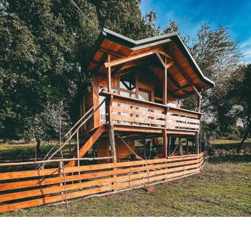 The Treehouse of the Dragon