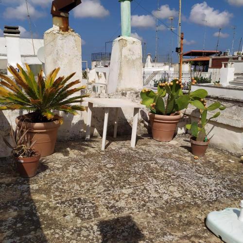 The White House Ostuni