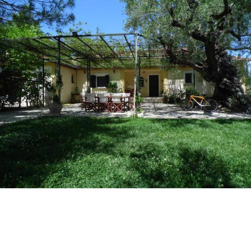 TheNi Olive Grove Villa