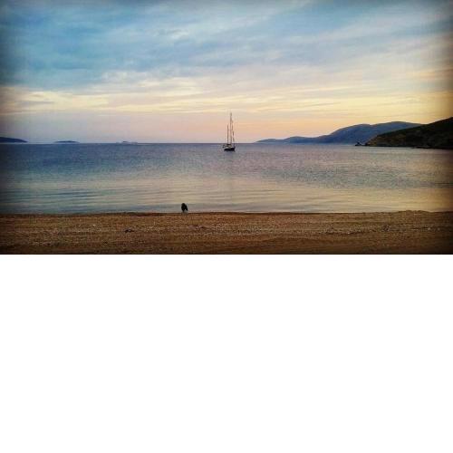 Theo's Vacation Home
