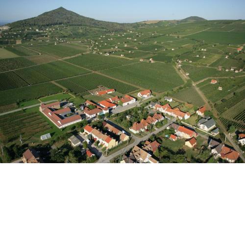 Tiffán's Pincészet és Panzió