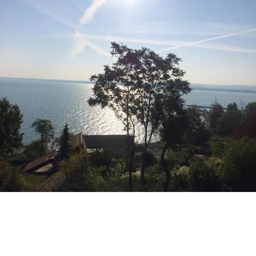 TIHANY (BALATON), BEST VIEW, SPACIOUS WELLNESS, CENTRAL , 50m BEACH