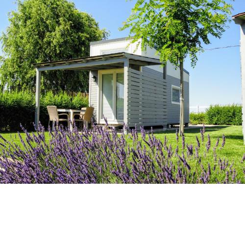 Tiny Glamping Holiday Houses