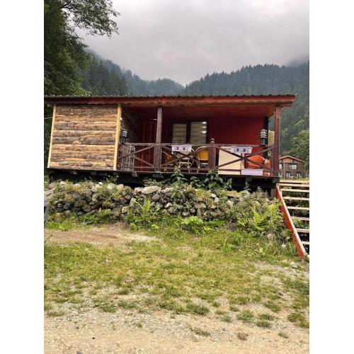 tiny house
