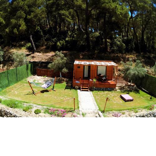 Tiny Mini House