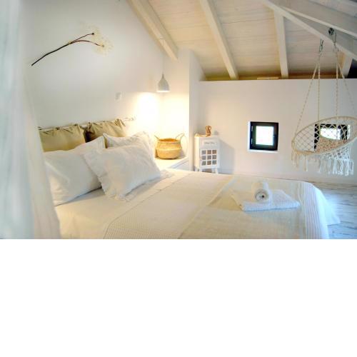 To Spiti - Pelion House