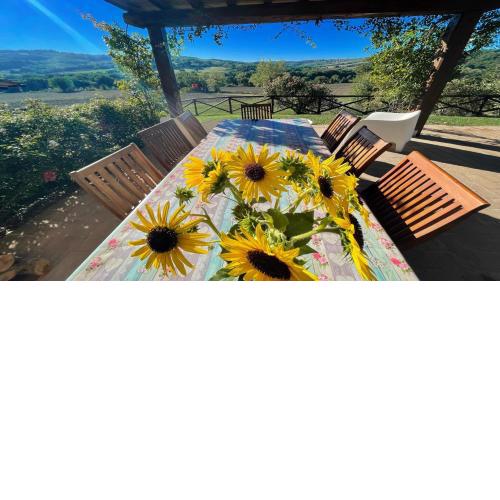 Todi By The Pool - Villaexclusive Pool Sleeps 10