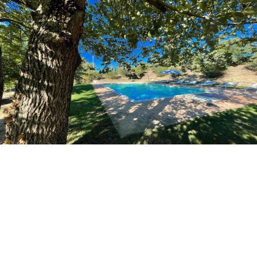 Todi By The PoolExc PoolWalk To Todi 5 KmsRestaurant 05 Kms Villa sleeps