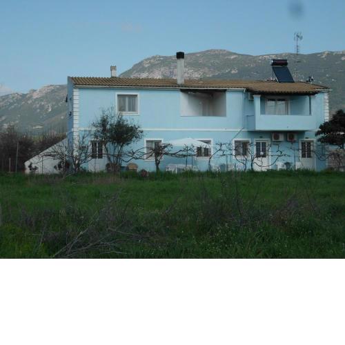 Tom's House