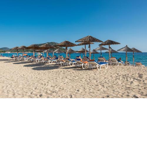 Toroni Blue