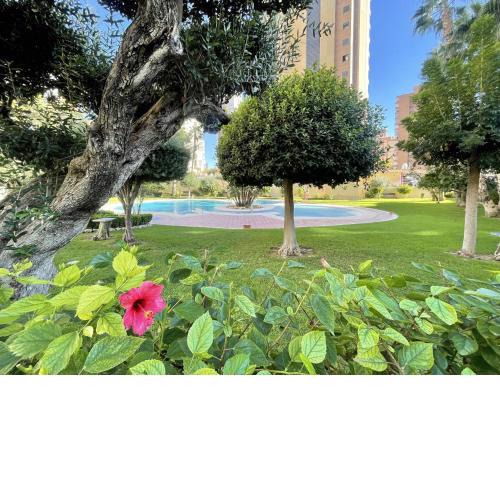 Torpa Benidorm Levante