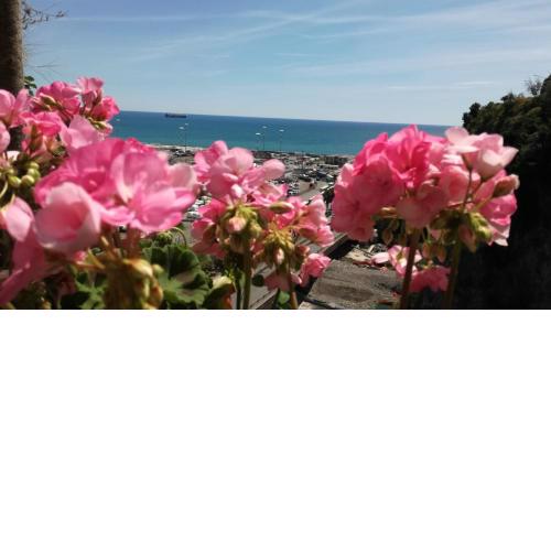 Torreammare