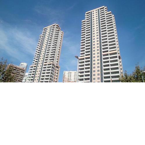 Torres Doboe Blueline
