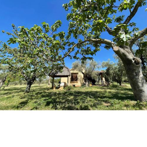TOSCANA TOUR - Cottage I Ciliegi with aircon, fenced garden