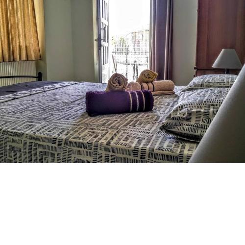 Toula's Garden Apartment