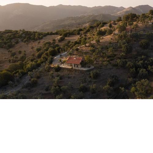 Toumba Eco Farm Guesthouses